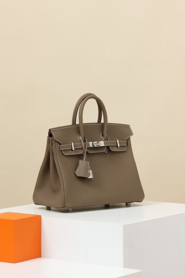 HERMES Birkin 25 Handbag in Etoupe Togo Leather with Silver Hardware